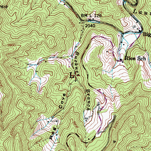 Topographic Map of Hog Cove, NC