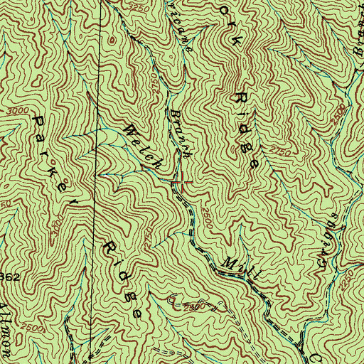 Topographic Map of Hurricane Branch, NC