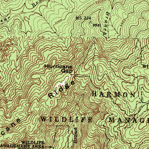 Topographic Map of Hurricane Gap, NC