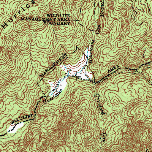 Topographic Map of Hurricane Gap Branch, NC