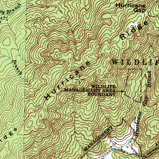 Topographic Map of Hurricane Ridge, NC