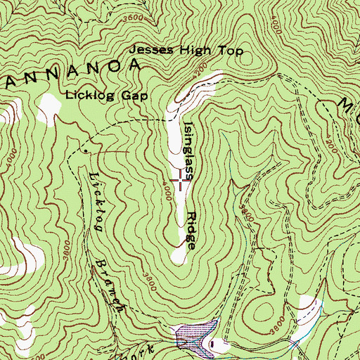 Topographic Map of Isinglass Ridge, NC