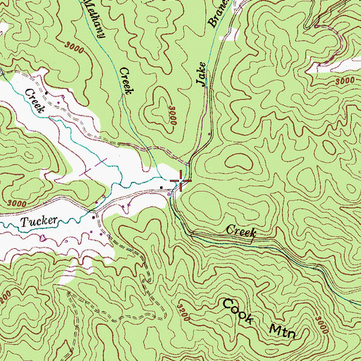 Topographic Map of Jake Branch, NC