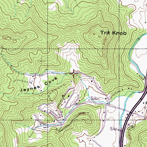 Topographic Map of Jaynes Cove, NC