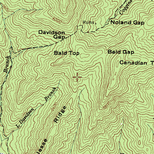 Topographic Map of Jesse Ridge, NC