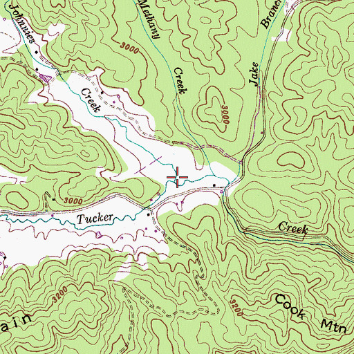 Topographic Map of Johnies Creek, NC