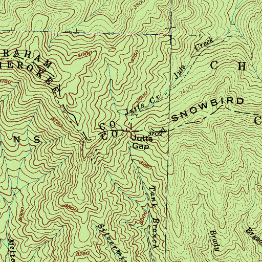 Topographic Map of Jutts Gap, NC
