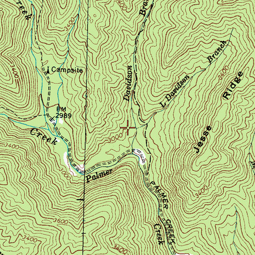 Topographic Map of L Davidson Branch, NC