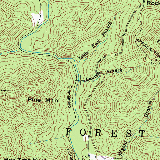 Topographic Map of Laurel Branch, NC