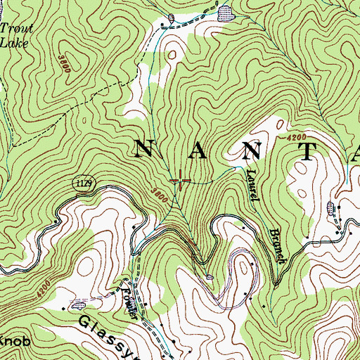 Topographic Map of Laurel Branch, NC