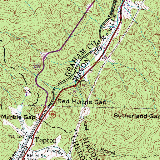 Topographic Map of Laurel Branch, NC