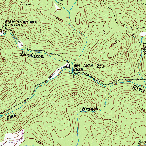 Topographic Map of Laurel Fork, NC