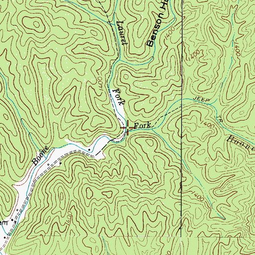 Topographic Map of Laurel Fork, NC