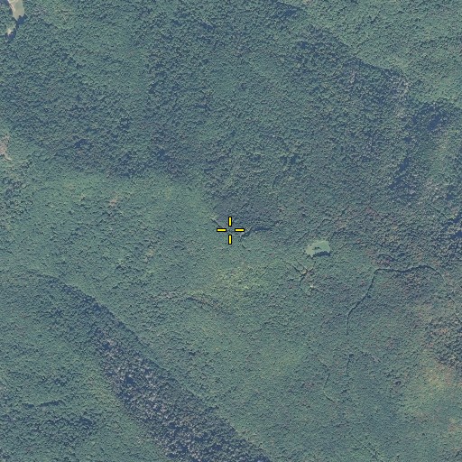 Aerial/Satellite Image of Laurel Gap, NC
