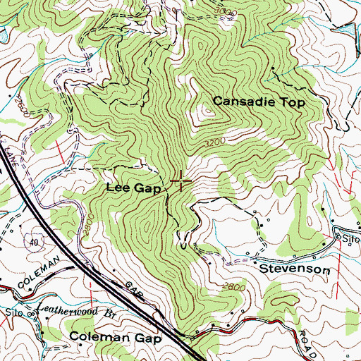 Topographic Map of Lee Gap, NC