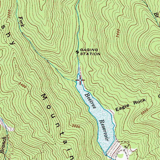Topographic Map of Left Fork Beetree Creek, NC