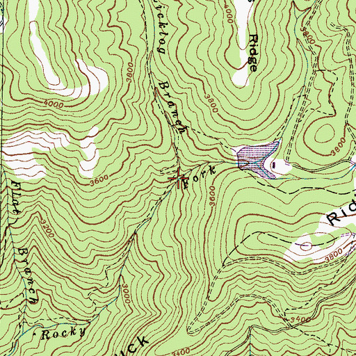 Topographic Map of Licklog Branch, NC