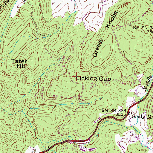 Topographic Map of Licklog Gap, NC