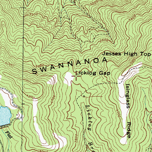 Topographic Map of Licklog Gap, NC