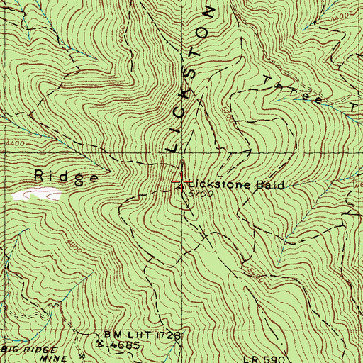 Topographic Map of Lickstone Bald, NC