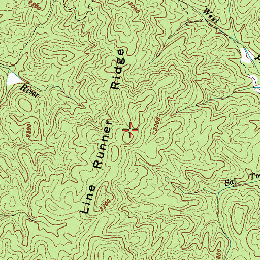 Topographic Map of Line Runner Ridge, NC