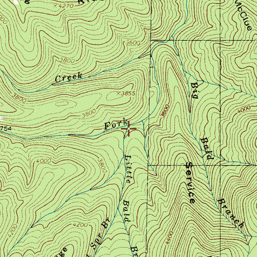 Topographic Map of Little Bald Branch, NC