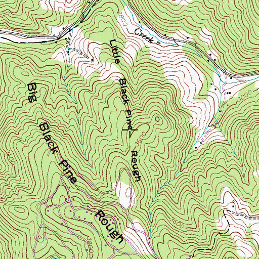Topographic Map of Little Black Pine Rough, NC