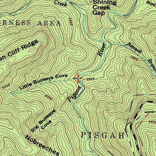 Topographic Map of Little Buckeye Cove, NC