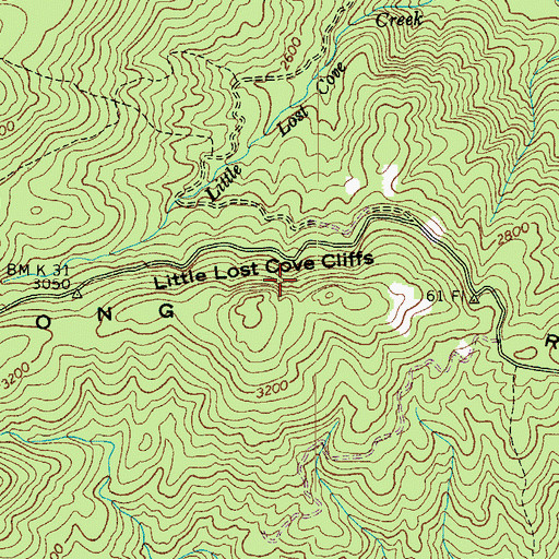 Topographic Map of Little Lost Cove Cliffs, NC