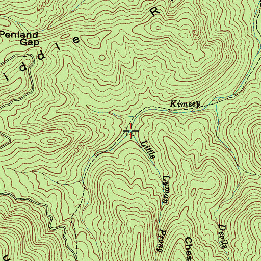 Topographic Map of Little Lyman Prong, NC