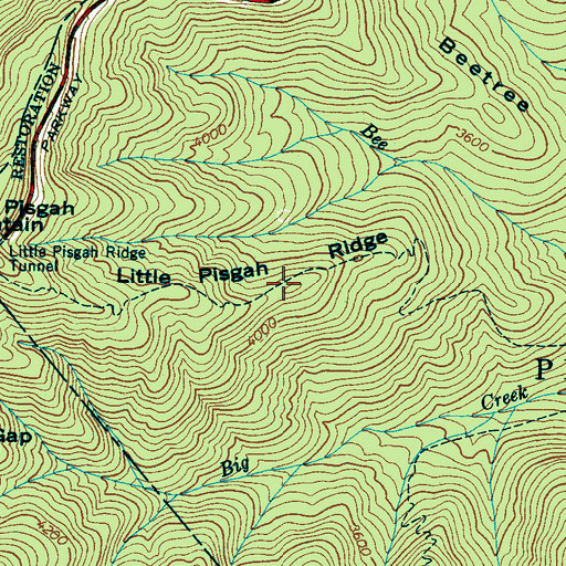 Topographic Map of Little Pisgah Ridge, NC
