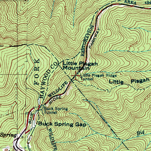 Topographic Map of Little Pisgah Tunnel, NC