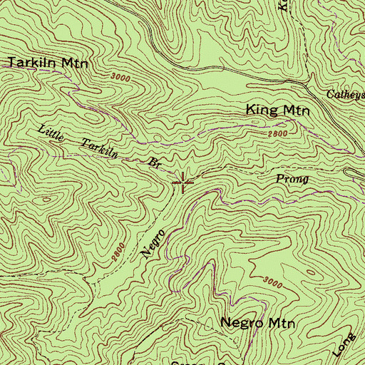 Topographic Map of Little Tarkiln Branch, NC