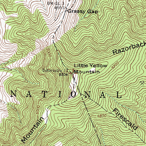 Topographic Map of Little Yellow Mountain, NC