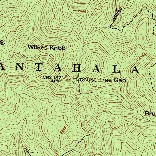 Topographic Map of Locust Tree Gap, NC