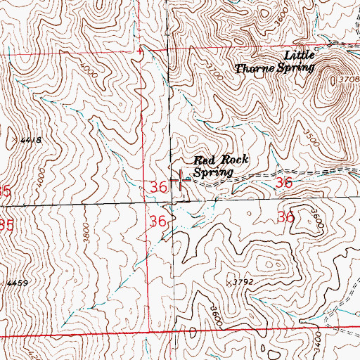 Topographic Map of Red Rock Spring, AZ