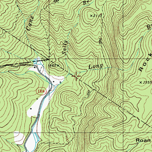 Topographic Map of Long Branch, NC