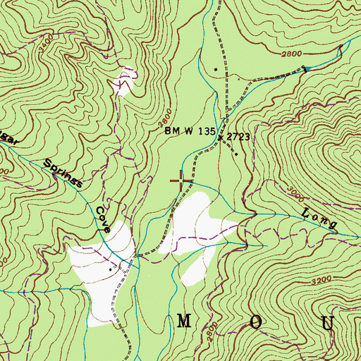 Topographic Map of Long Branch, NC