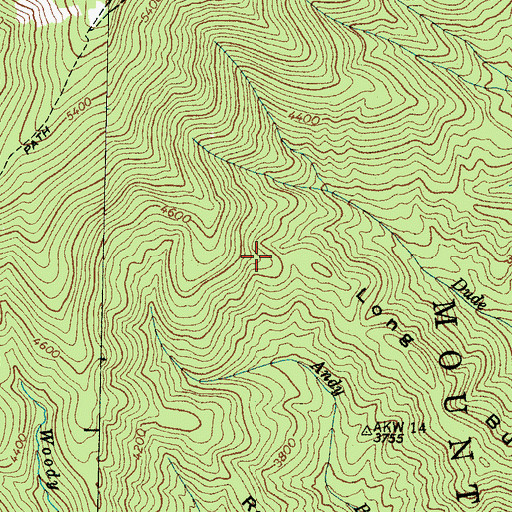 Topographic Map of Long Bunk, NC