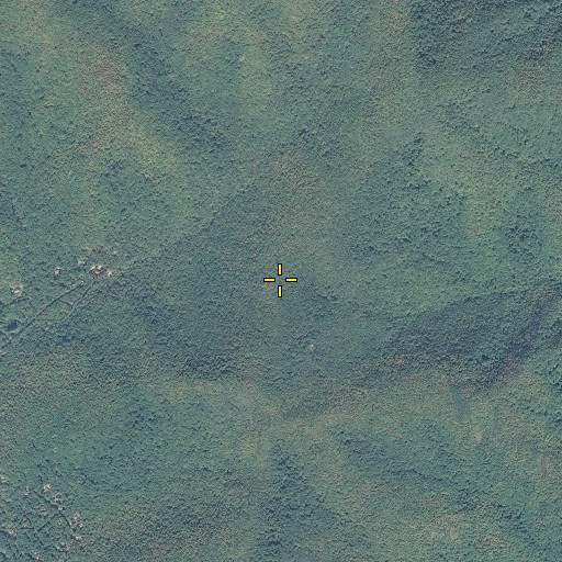 Aerial/Satellite Image of Long Gap, NC
