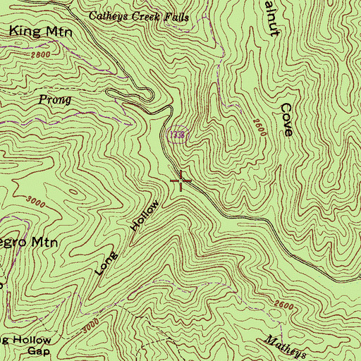 Topographic Map of Long Hollow, NC