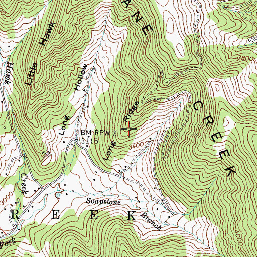 Topographic Map of Long Ridge, NC