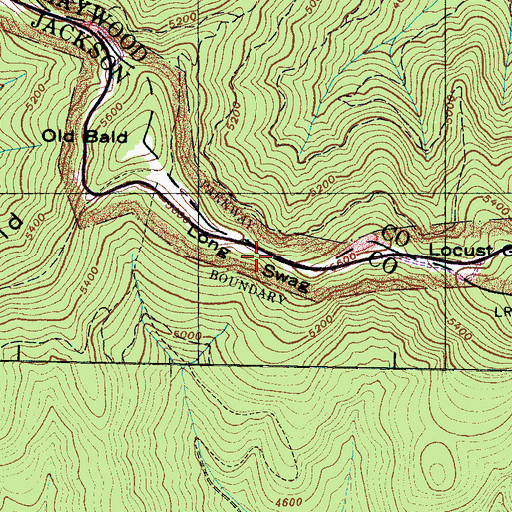 Topographic Map of Long Swag, NC