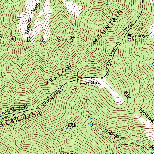 Topographic Map of Low Gap, NC