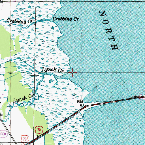 Topographic Map of Lynch Creek, NC
