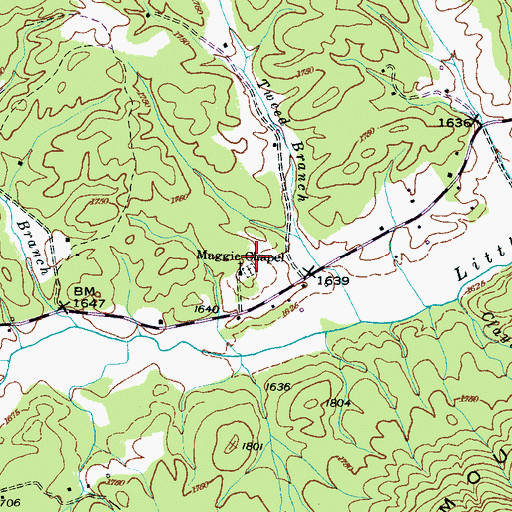 Topographic Map of Maggie Chapel, NC