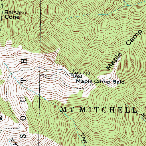 Topographic Map of Maple Camp Bald, NC