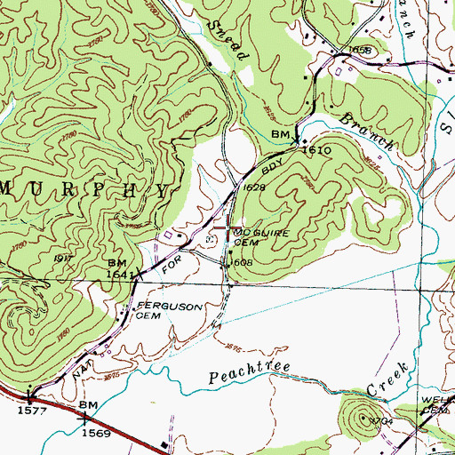 Topographic Map of Mc Guire Cemetery, NC