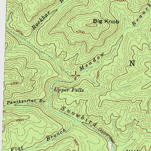 Topographic Map of Meadow Branch, NC