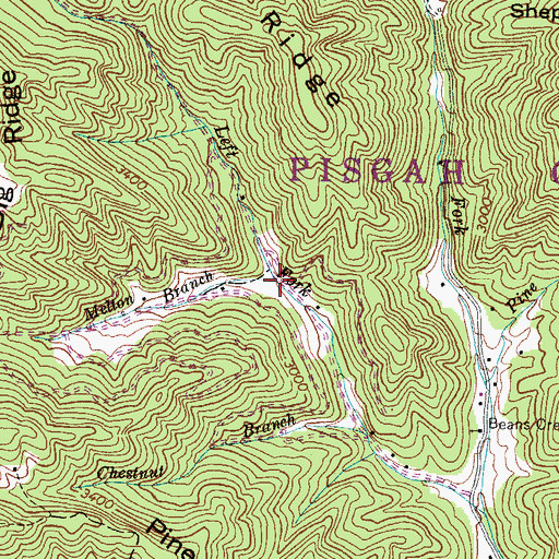 Topographic Map of Melton Branch, NC